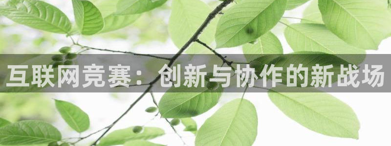 天狮娱乐分分彩平台