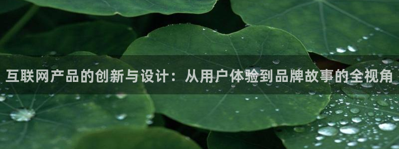天狮娱乐官方网站