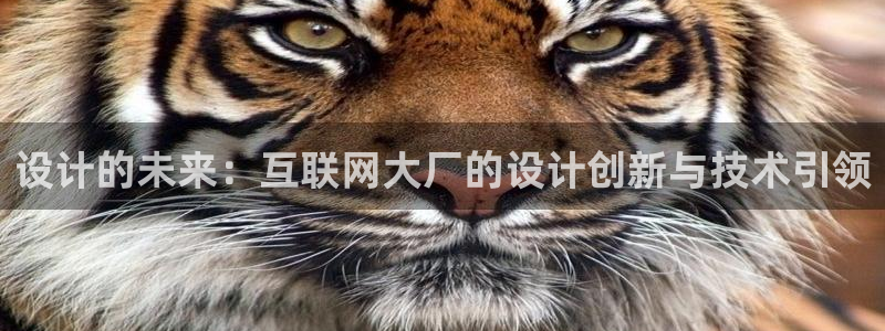 天狮娱乐招商帐7O777