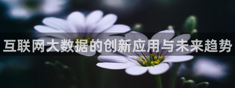 天狮娱乐手机