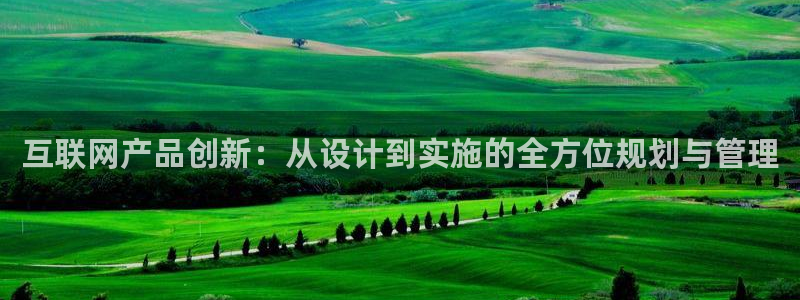 天狮娱乐叶哥