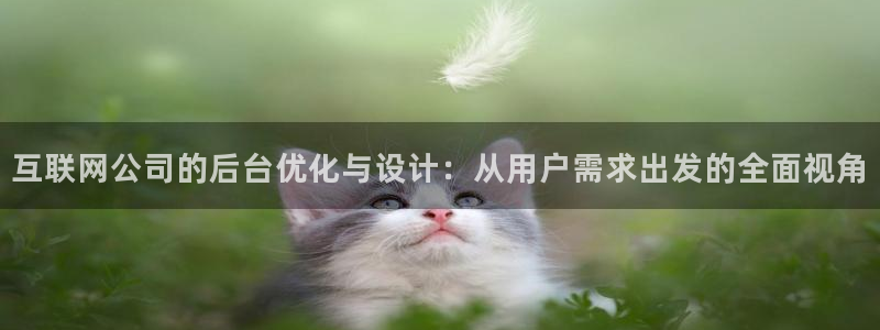 天狮娱乐股东36633