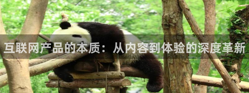 天狮娱乐最高待遇