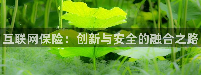 天狮娱乐 a招商98663