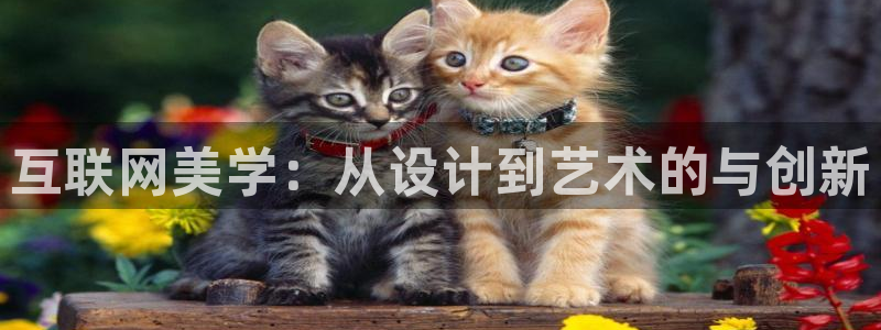 天狮娱乐h 判官