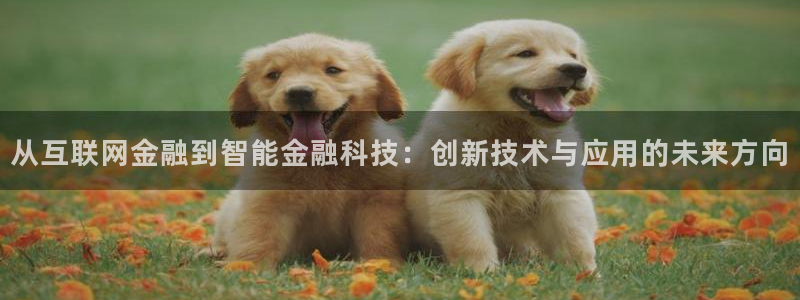 天狮娱乐是做什么的
