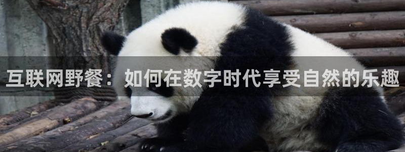 天狮娱乐负责人是