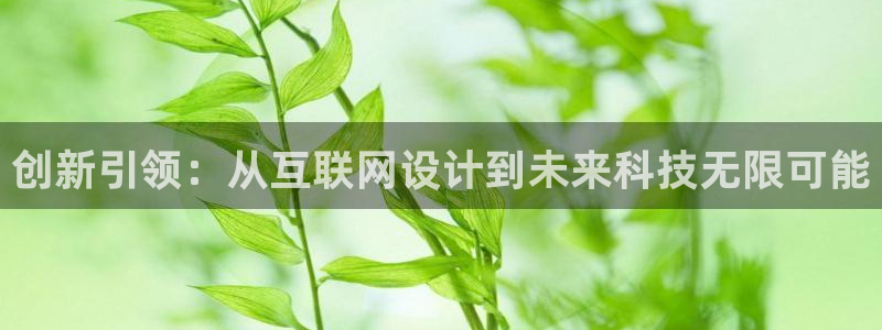 天狮娱乐彩票官网：创新引领：从