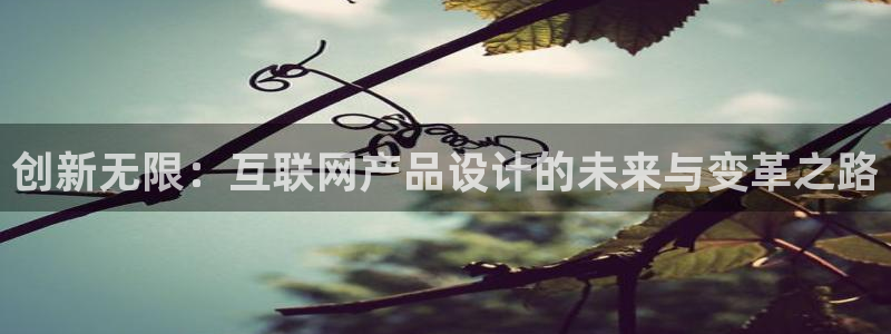 天狮娱乐app：创新无限：互联