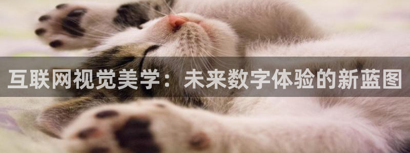 天狮娱乐平台下载：互联网视觉美