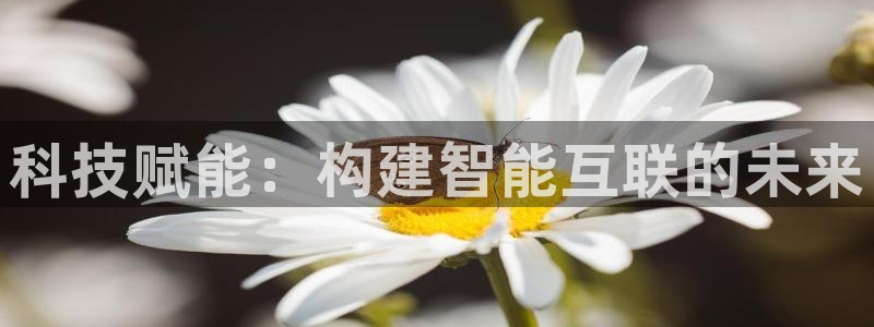 天狮娱乐1990