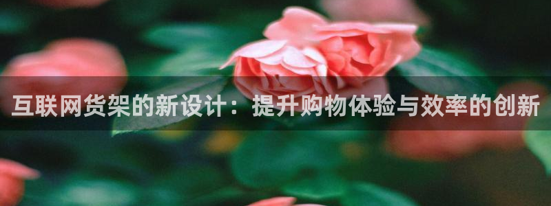 天狮娱乐彩票注册：互联网货架的