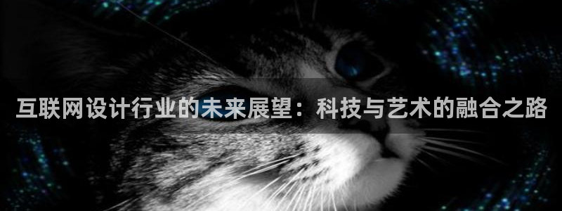 天狮娱乐嘉扣 o：互联网设计行