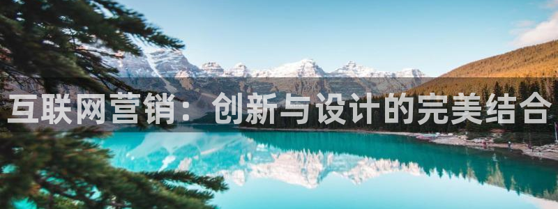 天狮娱乐 招商：互联网营销：创