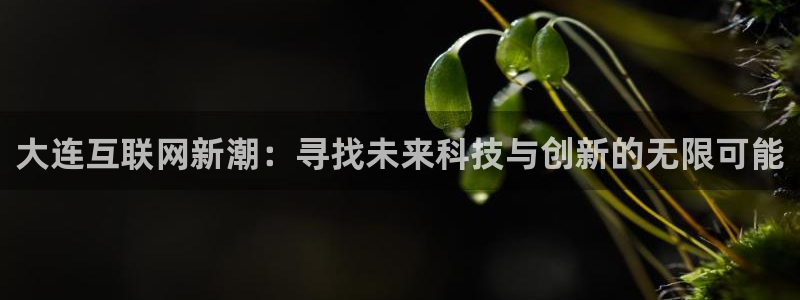狮山天街休闲娱乐