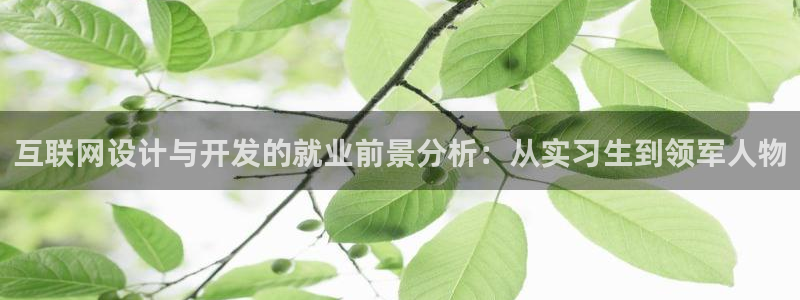 天狮娱乐指尖下载官网：互联网设