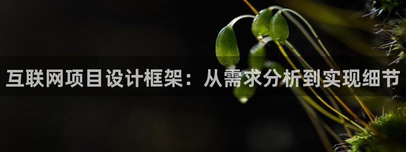 天狮娱乐官方代理：互联网项目设