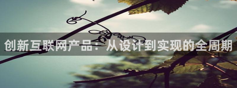 天狮娱乐彩票平台：创新互联网产