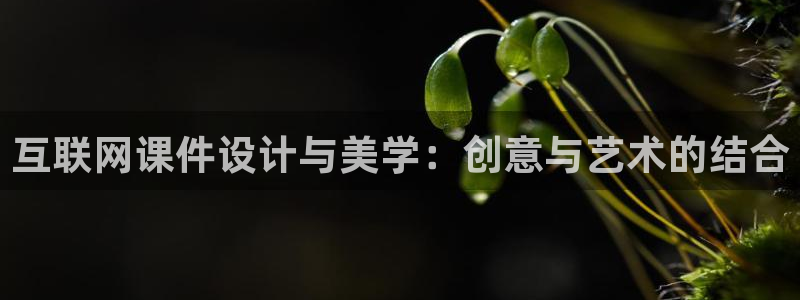天狮娱乐代理找谁