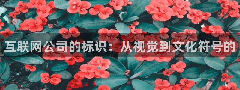 天狮娱乐官方网站下载