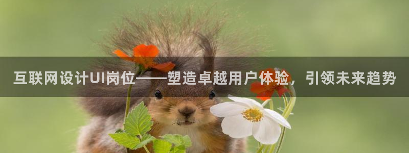 天狮娱乐直招64681