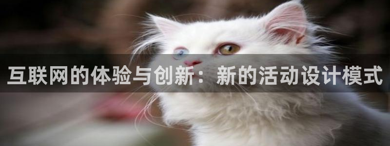 天狮娱乐 138：互联网的体验