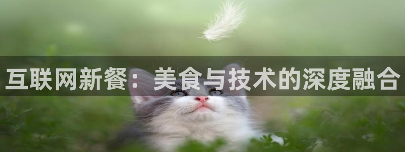 天狮娱乐b 判官是什么：互联网