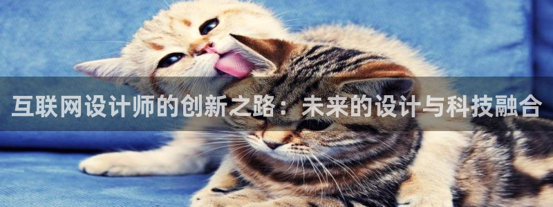 天狮娱乐 b招商61166