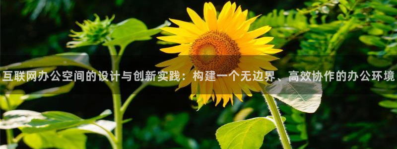 天狮娱乐怎样下载
