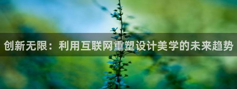 天狮源娱乐平台注册：创新无限：