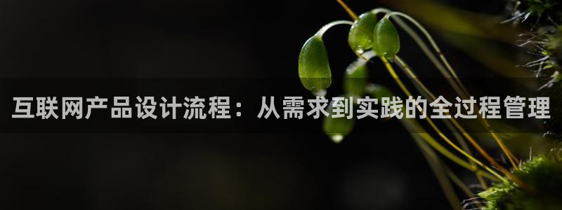 天狮娱乐谁在玩