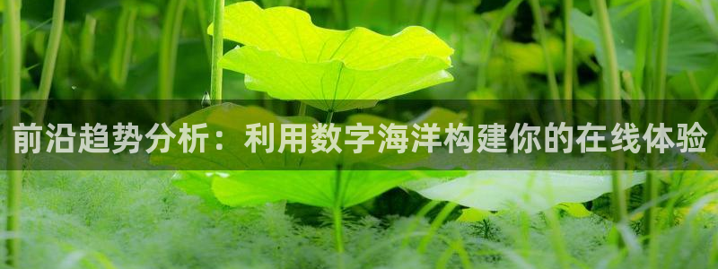 天狮娱乐网站