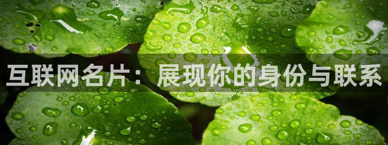 天狮娱乐违法行为