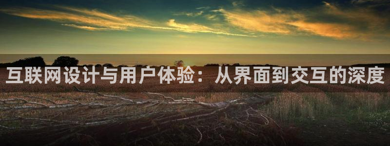 天狮娱乐注册官方网站：互联网设