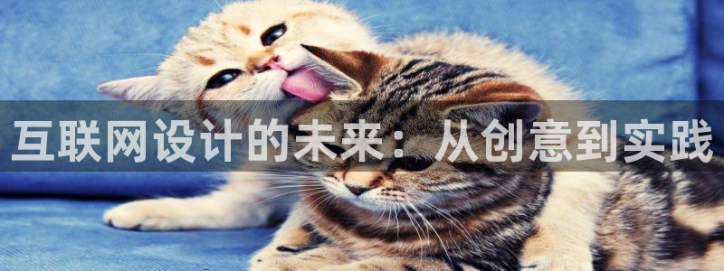 天狮娱乐最高待遇