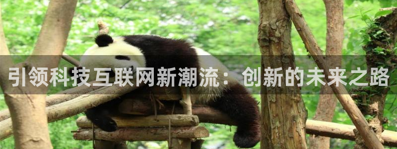 天狮国际娱乐平台