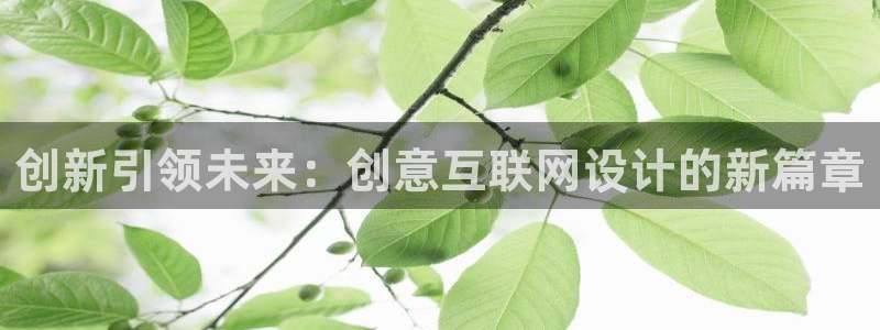 天狮娱乐招商扣