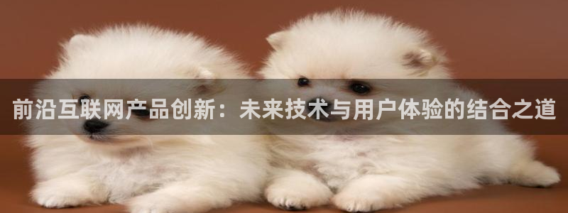 天狮娱乐指尖年：前沿互联网产品