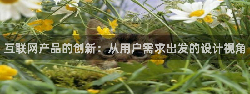 天狮娱乐骗局