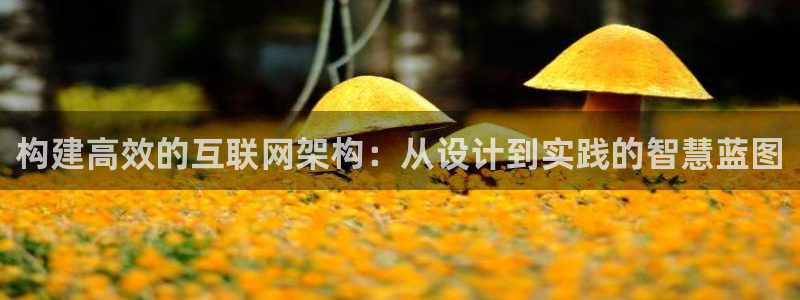 天狮娱乐真的假的