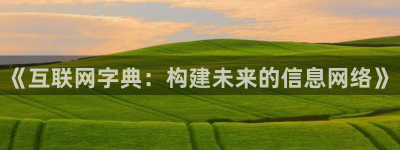 天狮娱乐彩票真假：《互联网字典