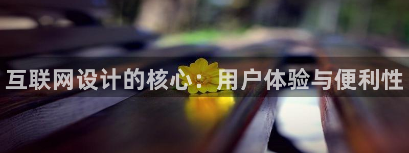 天狮娱乐j 判官